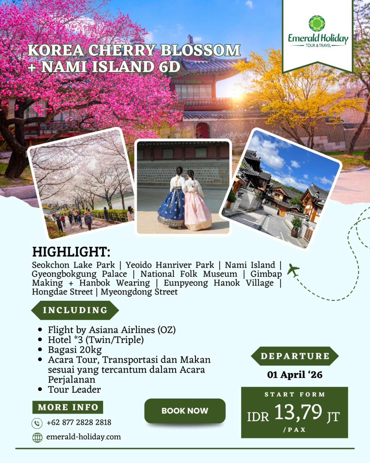 KOREA CHERRY BLOSSOM